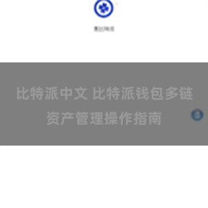 比特派中文 比特派钱包多链资产管理操作指南