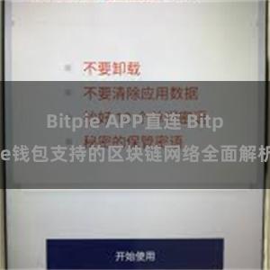 Bitpie APP直连 Bitpie钱包支持的区块链网络全面解析