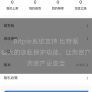 Bitpie系统支持 比特派钱包：强大的隐私保护功能，让您资产更安全