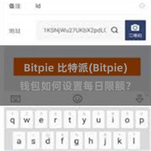 Bitpie 比特派(Bitpie)钱包如何设置每日限额？