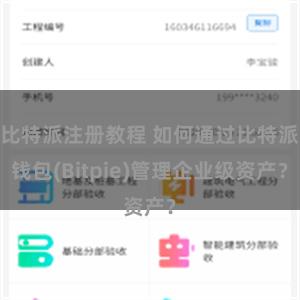 比特派注册教程 如何通过比特派钱包(Bitpie)管理企业级资产？