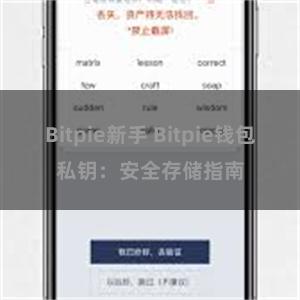 Bitpie新手 Bitpie钱包私钥：安全存储指南