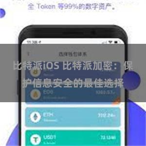 比特派iOS 比特派加密：保护信息安全的最佳选择