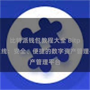 比特派钱包教程大全 Bitpie在线：安全、便捷的数字资产管理平台
