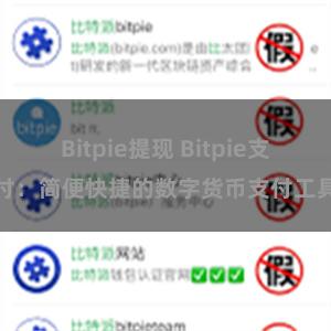 Bitpie提现 Bitpie支付：简便快捷的数字货币支付工具