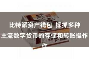 比特派资产钱包  撑抓多种主流数字货币的存储和转账操作