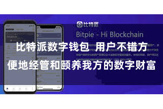 比特派数字钱包  用户不错方便地经管和颐养我方的数字财富