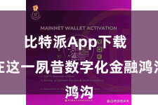 比特派App下载  在这一夙昔数字化金融鸿沟