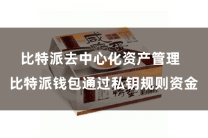 比特派去中心化资产管理  比特派钱包通过私钥规则资金